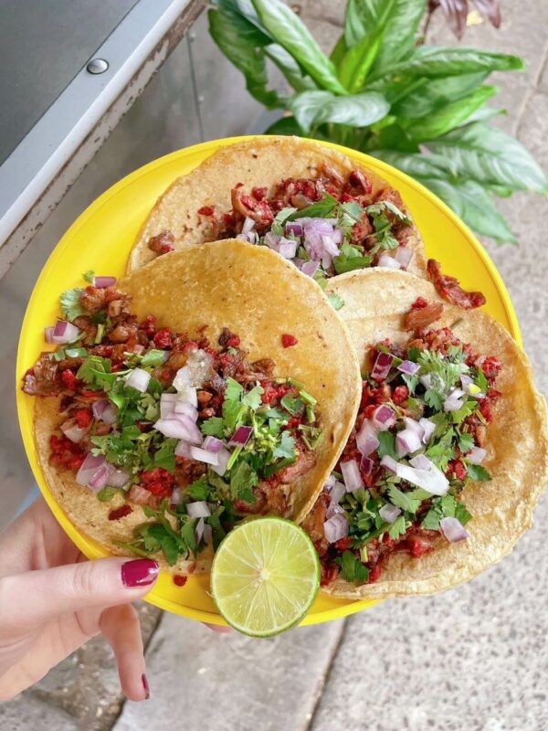 vegan tacos mandragora