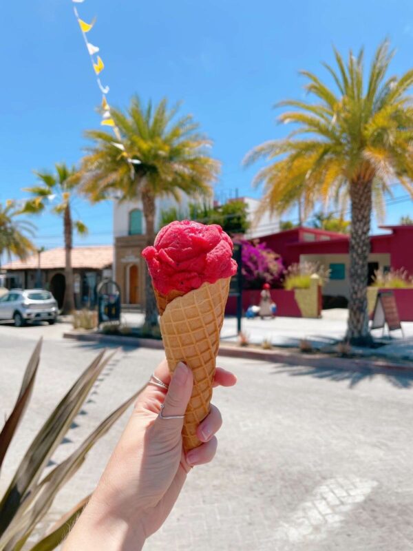 Baja tasty ice cream