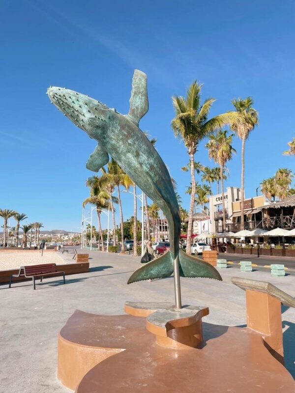 whale statue