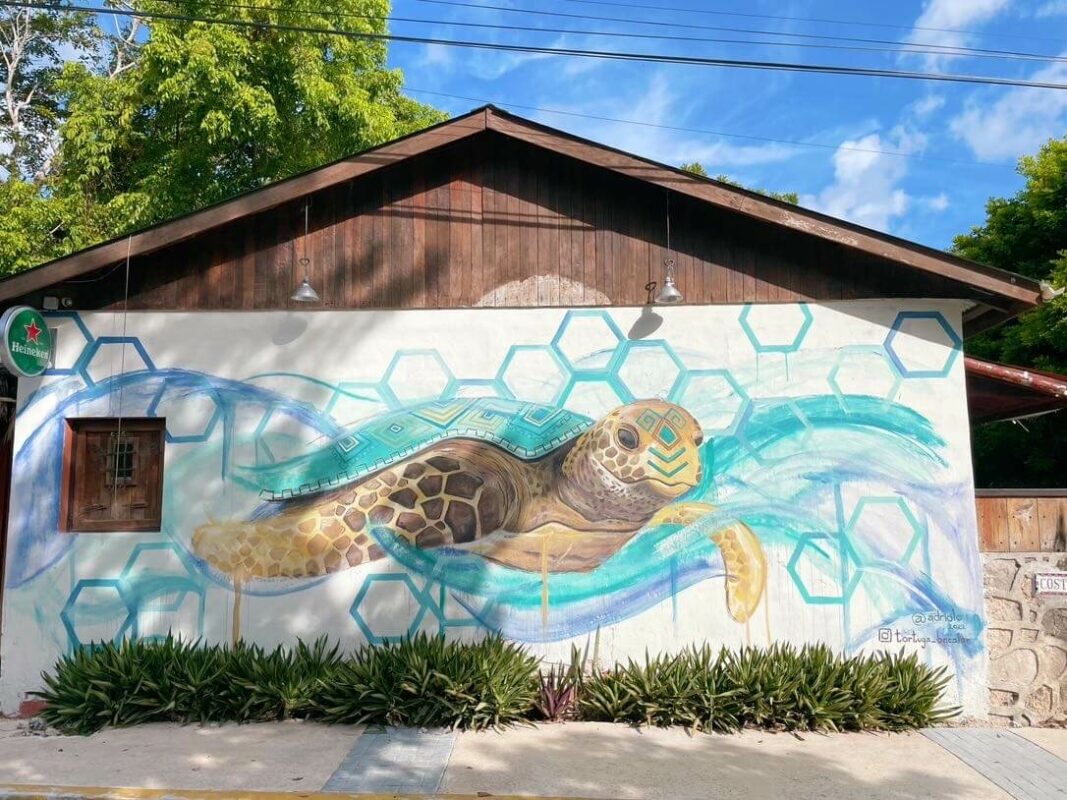Turtle mural bacalar what to do