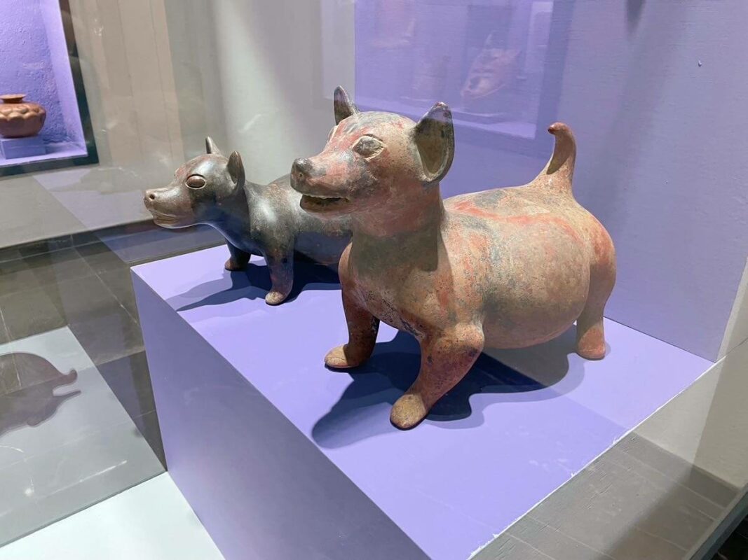 Colima dogs Prehispanic Art Museum