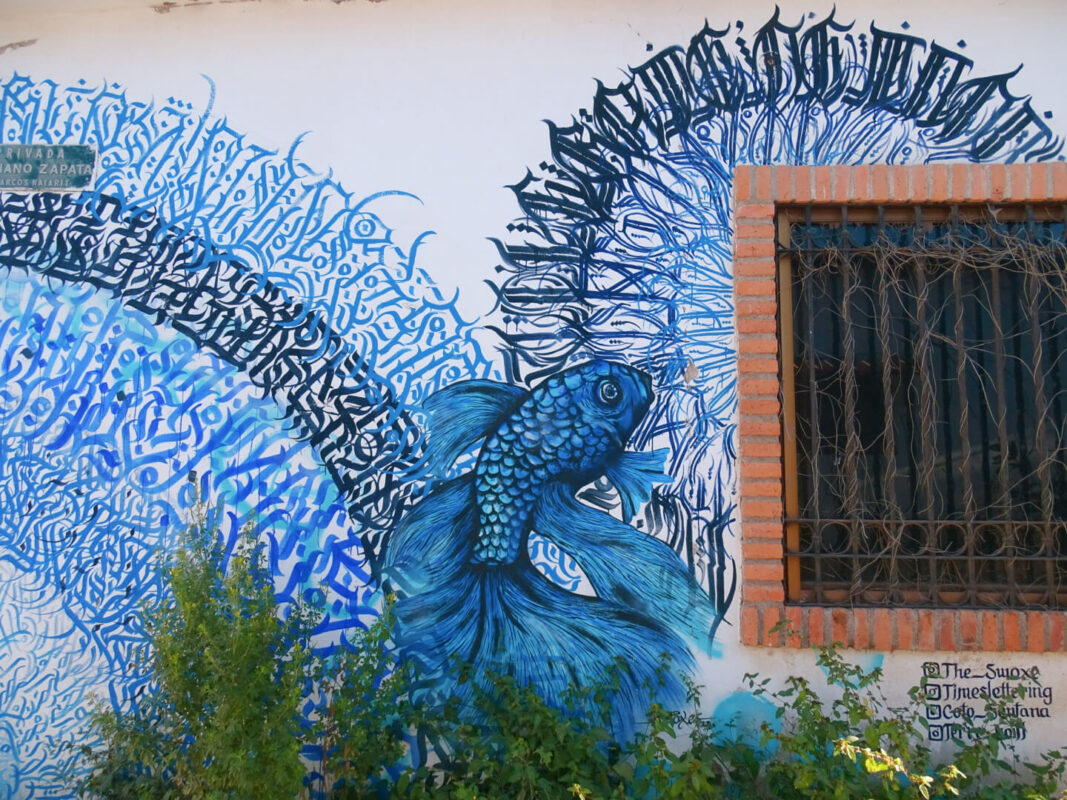 Blue fish mural 