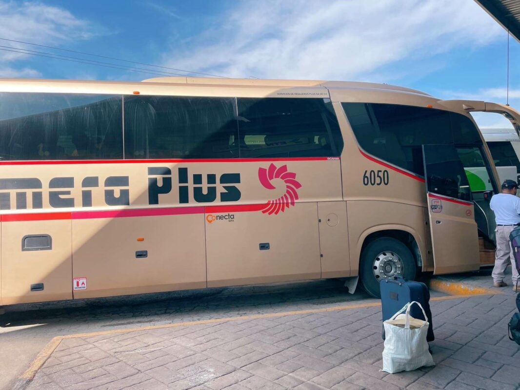 Primera plus bus